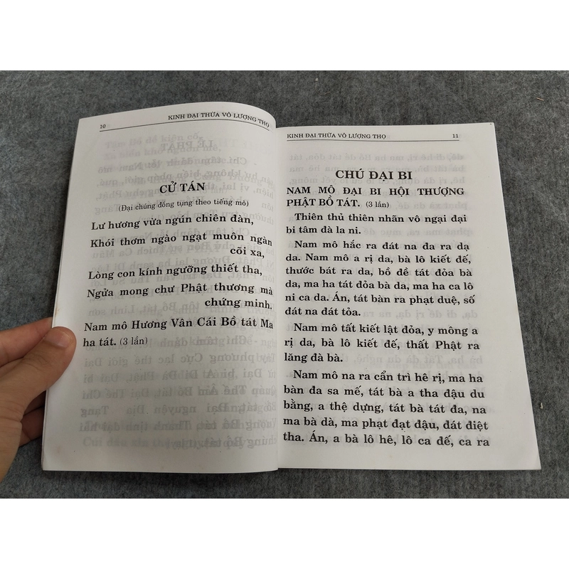 PHẬT THUYẾT ĐẠI THỪA VÔ LƯỢNG THỌ... 549104