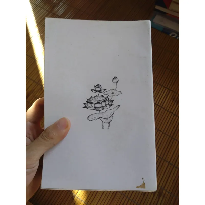 Dấu chân trên cát - Nguyên Phong 695258