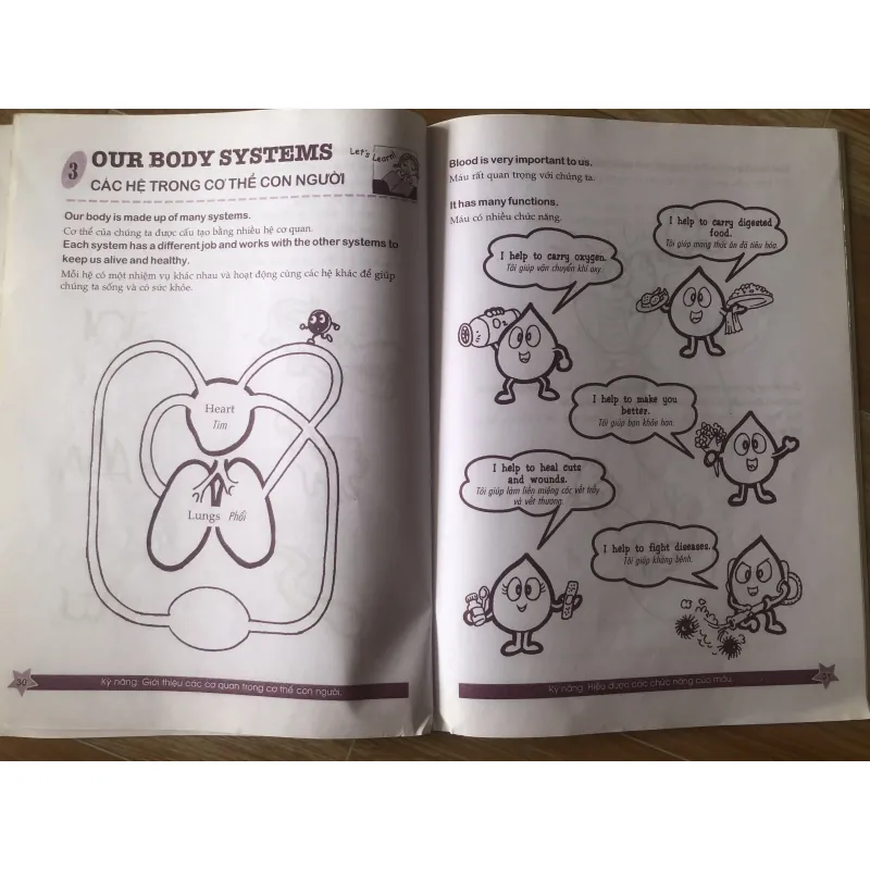 Cùng khám phá tiếng anh - Môi trường Sống - 3A 1004065