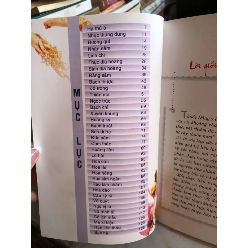 Những phương thuốc làm đẹp từ cây thuốc nam - Thiên Kim 977076