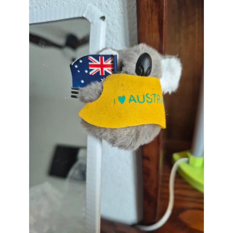 Kẹp Koala Úc - dùng làm kẹp máy tính, kẹp gương 973819