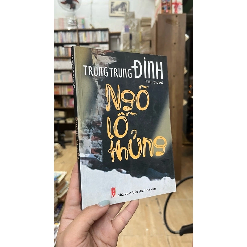 Ngõ lỗ thủng - Trung Trung Đỉnh 166129