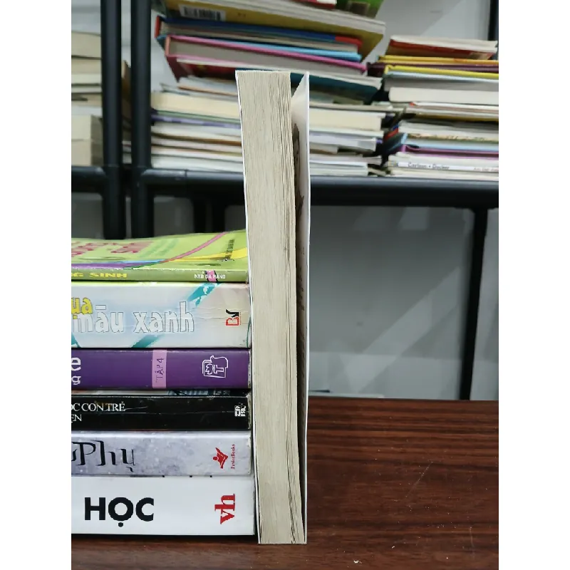 Như cánh chim trong mắt của chân trời – Văn Thành Lê 573382