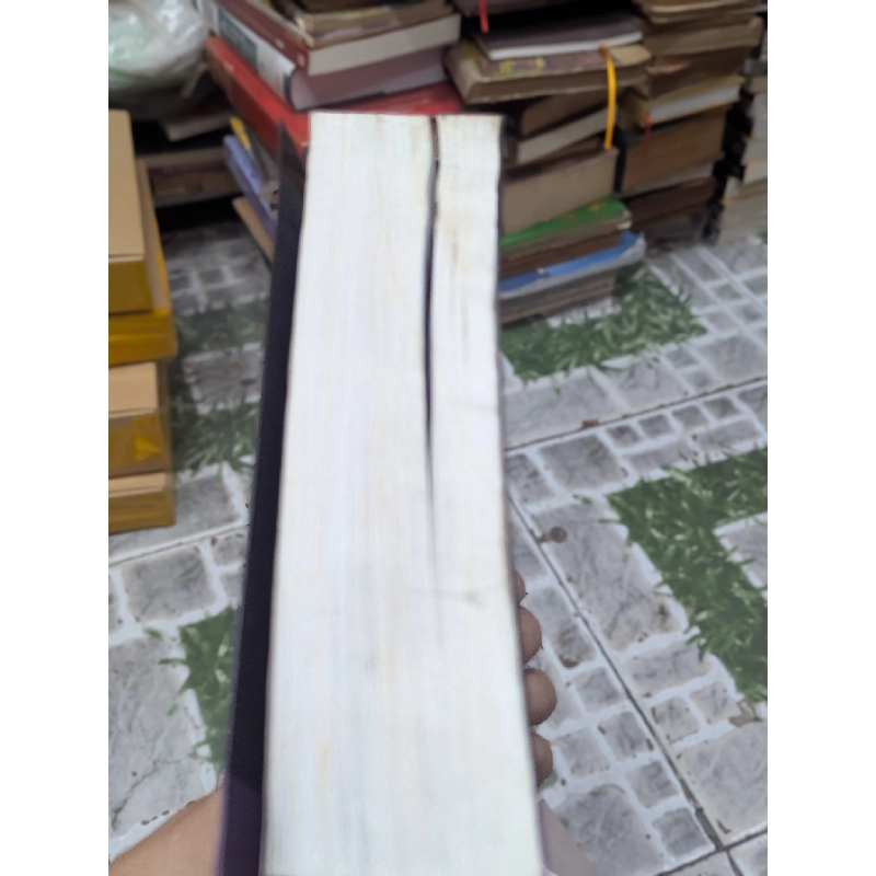 Tuấn chàng trai nước việt - Nguyễn Vỹ 126213