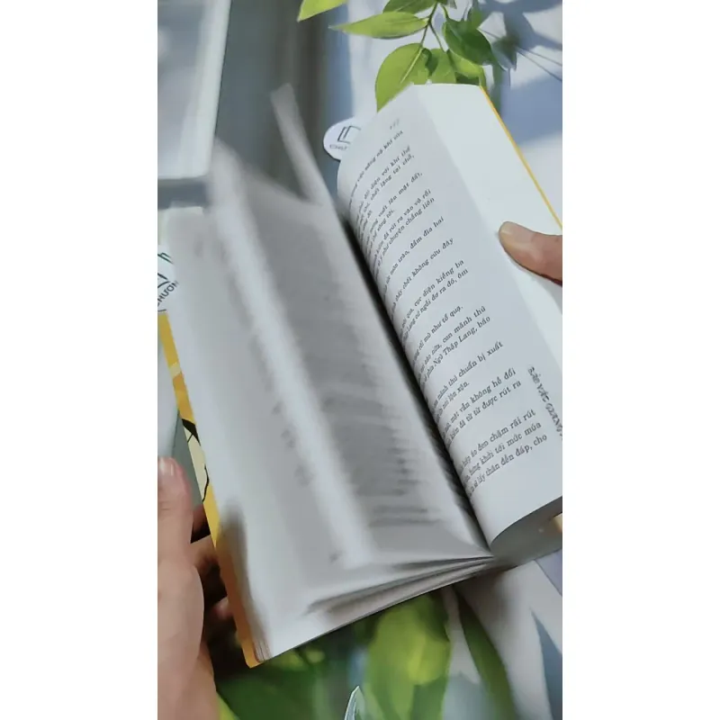 Bảo Vật Giang Hồ - Tô Tố 744769