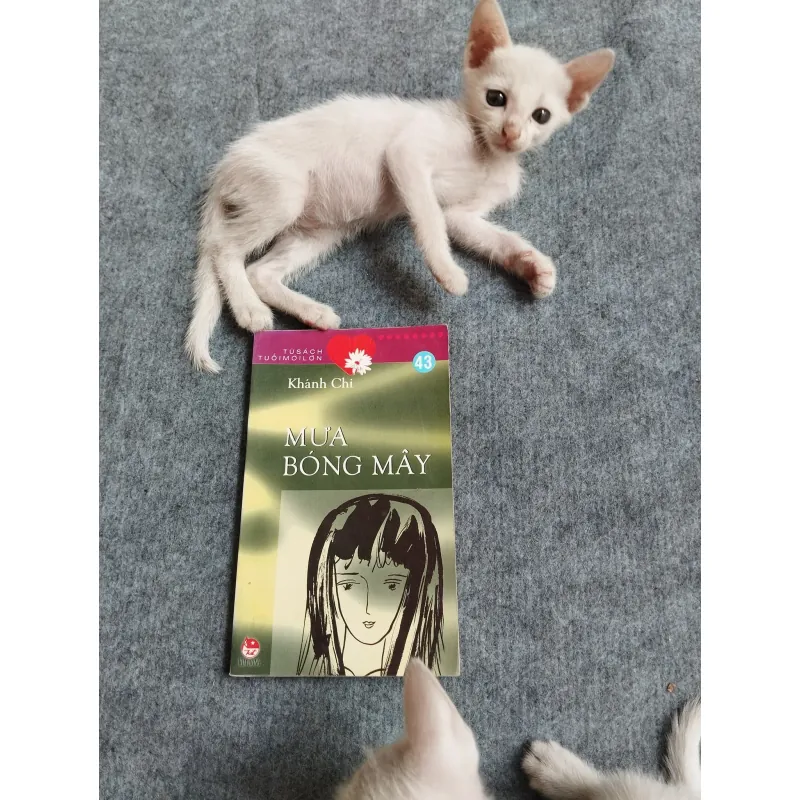 MƯA BÓNG MÂY - KHÁNH CHI 567812