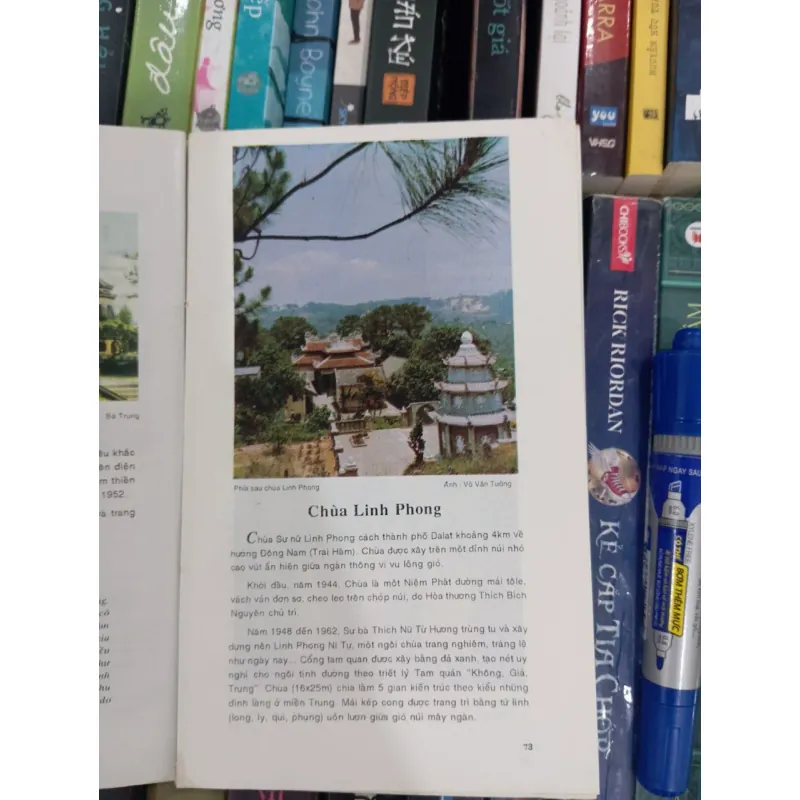 Đà Lạt LangBiang _ Võ Lệ Hồng 977240