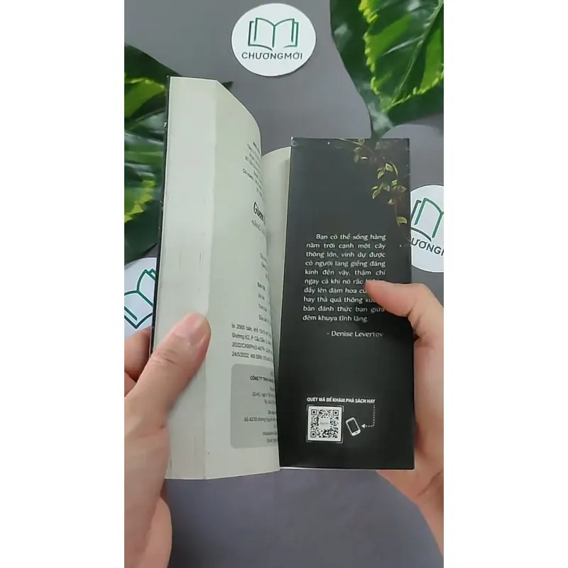 [MIỄN PHÍ BỌC SÁCH] Năng Lượng Từ Thảo Mộc - Paige Vanderbeck 604646