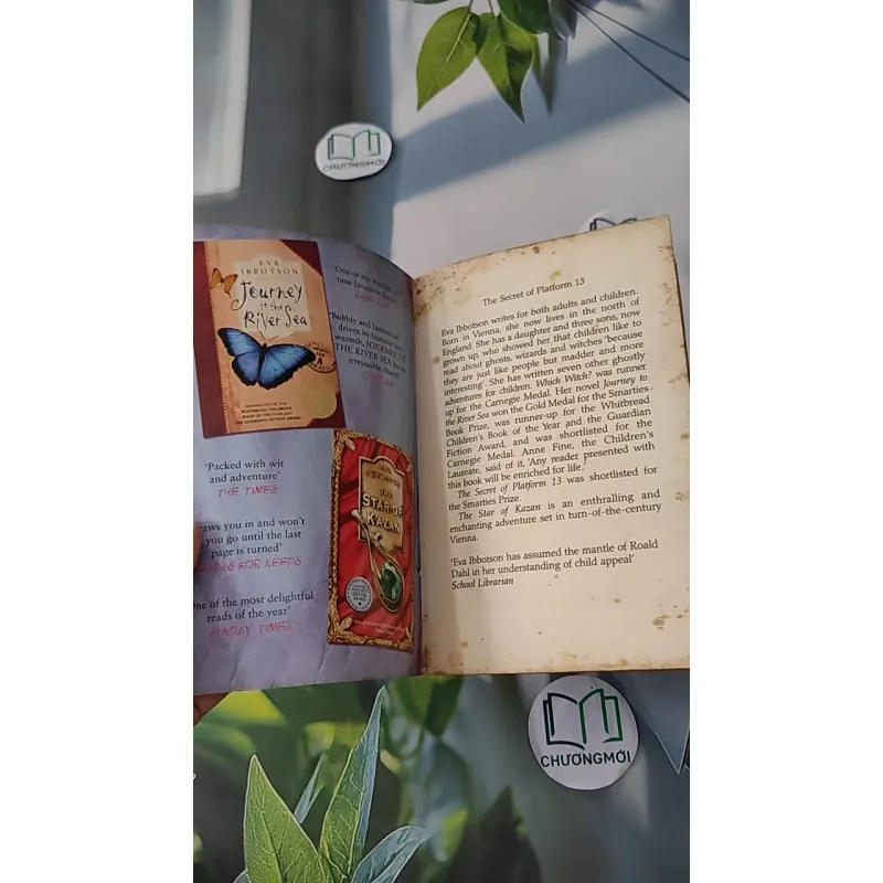 [XƯA] The Secret of Platform 13 (1994) - Eva Ibbotson 1033598