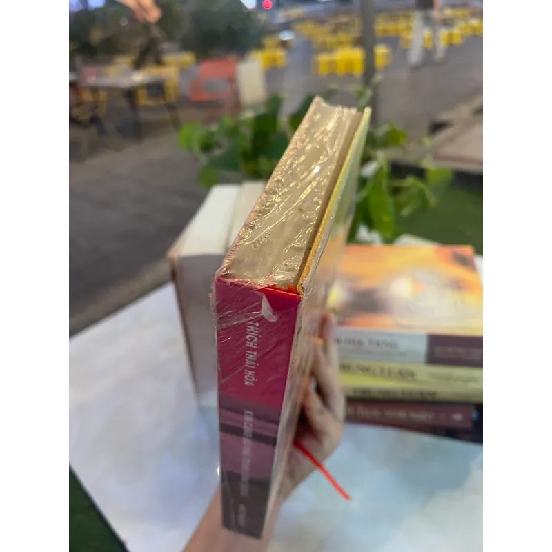 KIM CANG BÁT NHÃ TRONG DÒNG LỊCH SỬ - THÍCH THÁI HOÀ  1028735