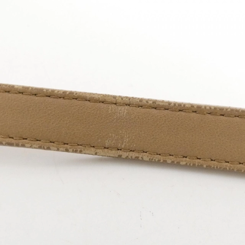 Bottega Veneta 179330 V00A2 Túi đeo vai 611759