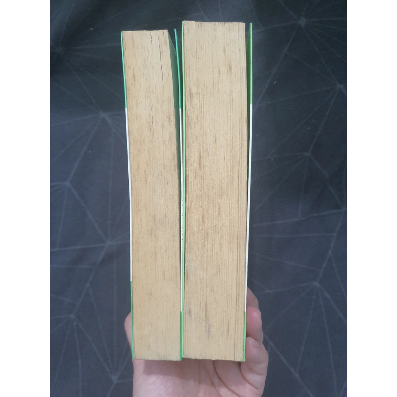 "Bích tiêu cửu trùng xuân ý vũ" - Tịch Nguyệt Giảo Giảo 498936