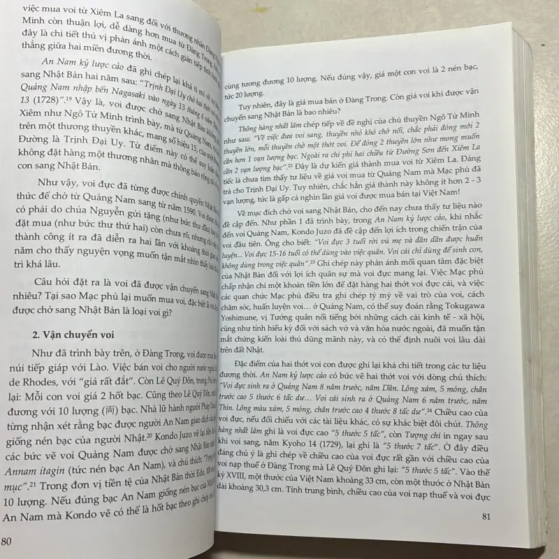 Lịch sử và triển vọng mối quan hệ Việt Nam - Nhật Bản 797548