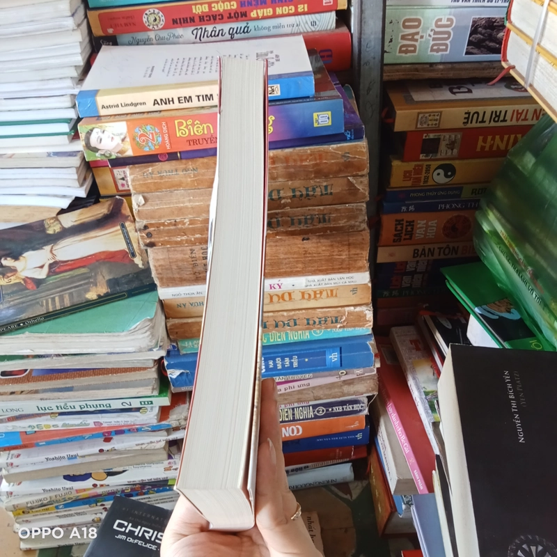 Công Thức Chạy Bộ Của Daniels 524268