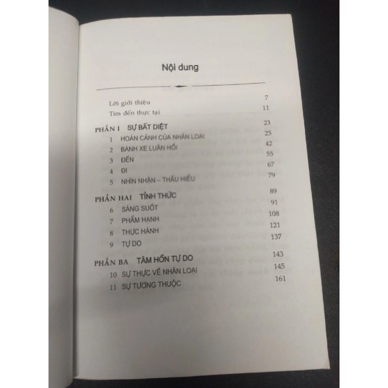 Nền tảng đạo phật Steve Hagen 2009 mới 80% cong bìa ố nhẹ HCM0106 tôn giáo 914668