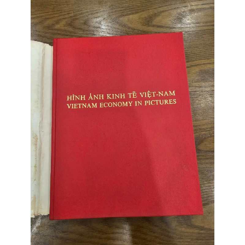 Hình ảnh kinh tế việt nam -Nguyễn Mạnh Đan - Trần Cao Lĩnh & nhà văn Duyên Anh 527829