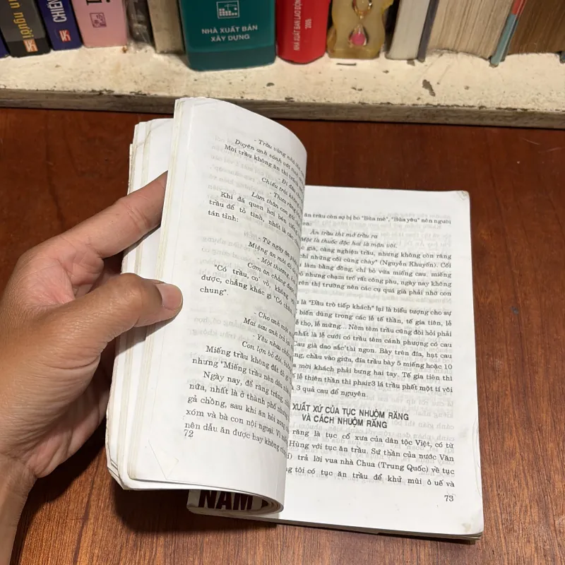 II Văn Hoá Việt: Một Trăm Điều Nên Biết Về Phong Tục Việt Nam - Tân Việt - 1997 800351