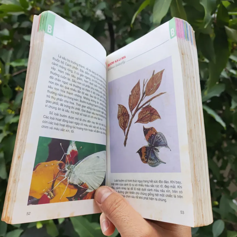 Từ Điển Tranh Về Các Con Vật - Lê Quang Long 753786