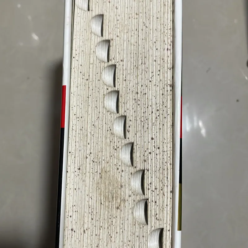 Microsoft Encarta College Dictionary 715696