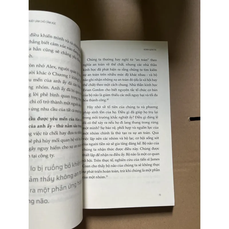 nghệ thuật làm chủ cảm xúc 1030523