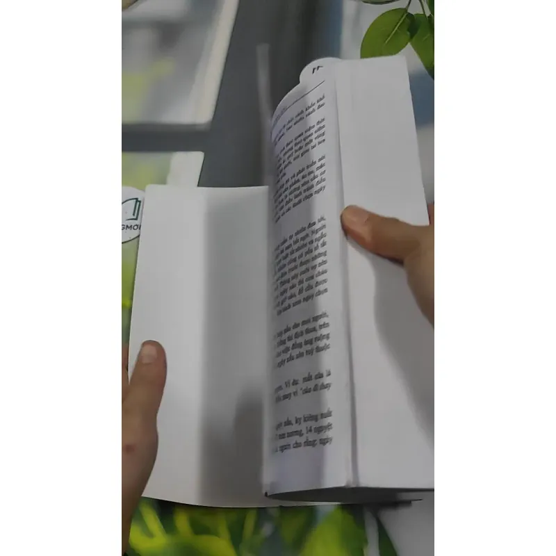 Lịch Vạn Niên Từ Năm 2000 - 2100 - Diệu Tuệ 727382