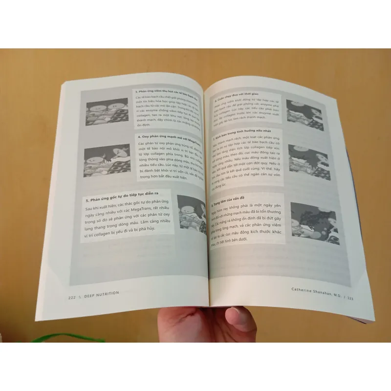 Dinh dưỡng chyên sâu Deep Nutrition, sách Việt  715301