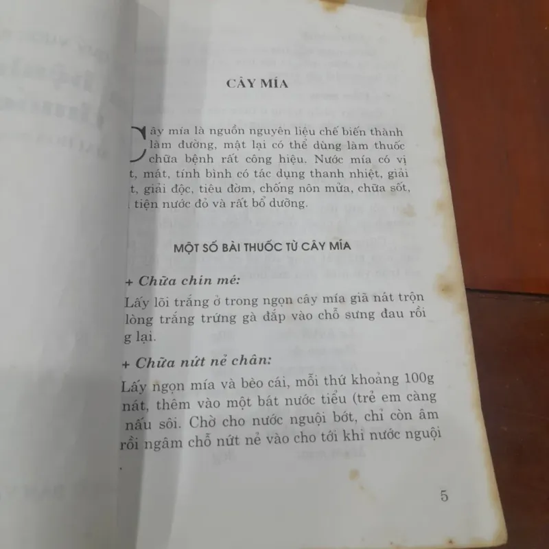 Chữa bệnh bằng cây thuốc Nam 800819