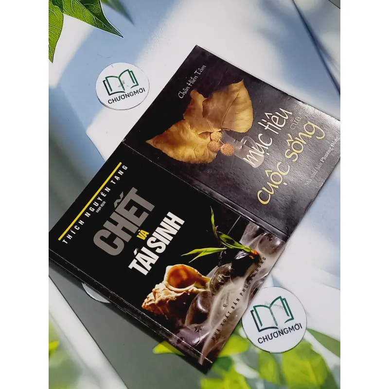 Combo: Chết và Tái Sinh, Mục Tiêu Của Cuộc Sống 707248