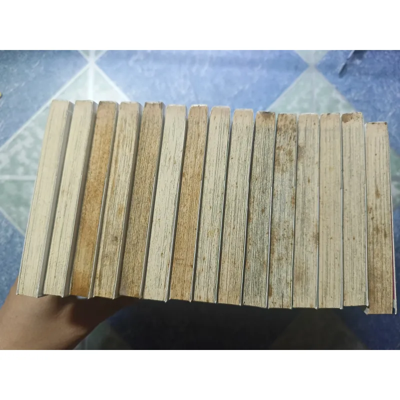 Cuộc phiêu lưu của Croket ( 15 tập) 976074