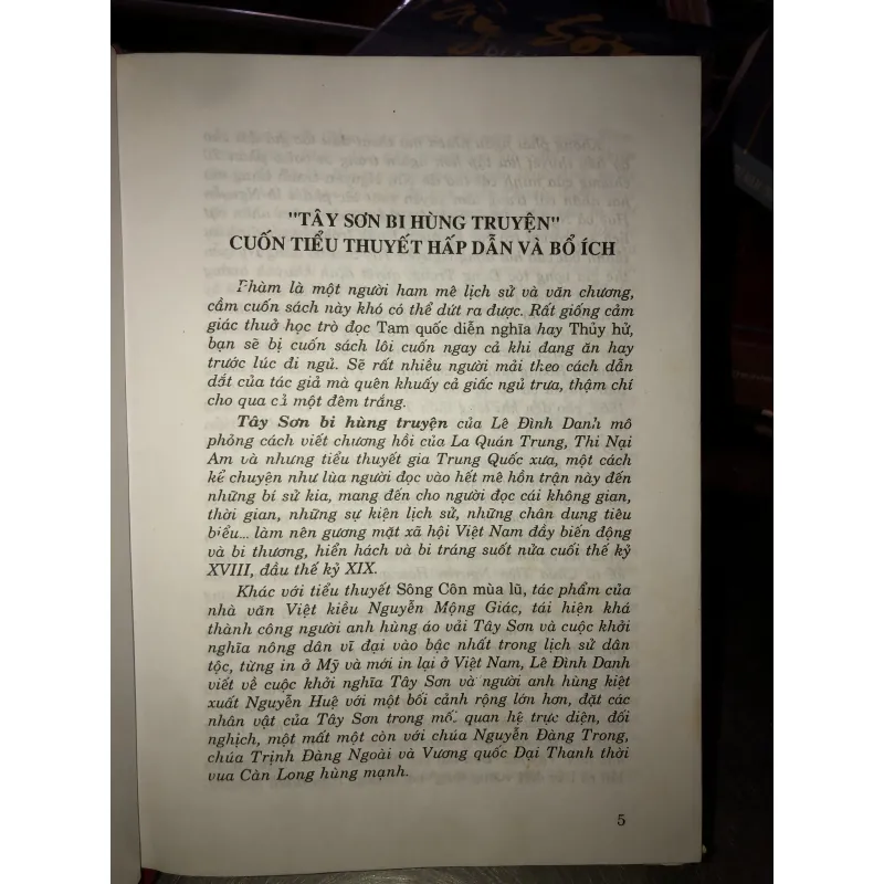 Tây Sơn bi hùng truyện - Lê Đình Danh 972202