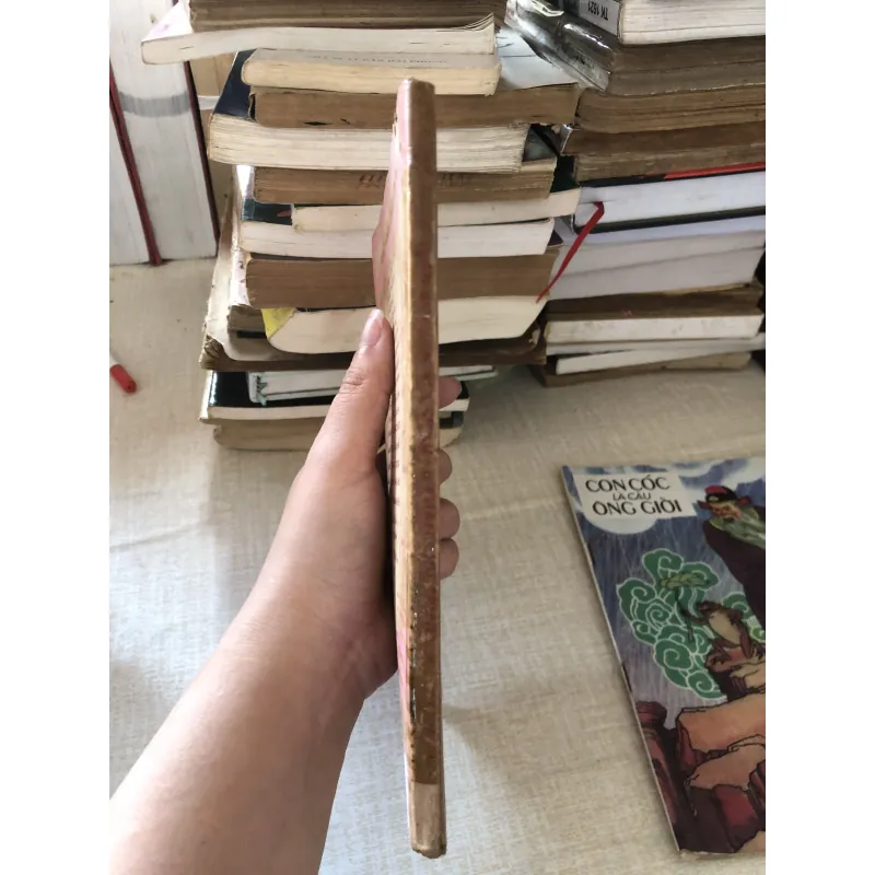 Luận đề về Phan Bội Châu và Phan Chu Trinh 973905