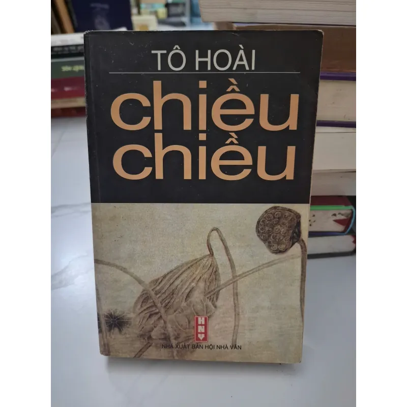 Chiều chiều - Tô Hoài - Hồi ký / Văn học 1004572