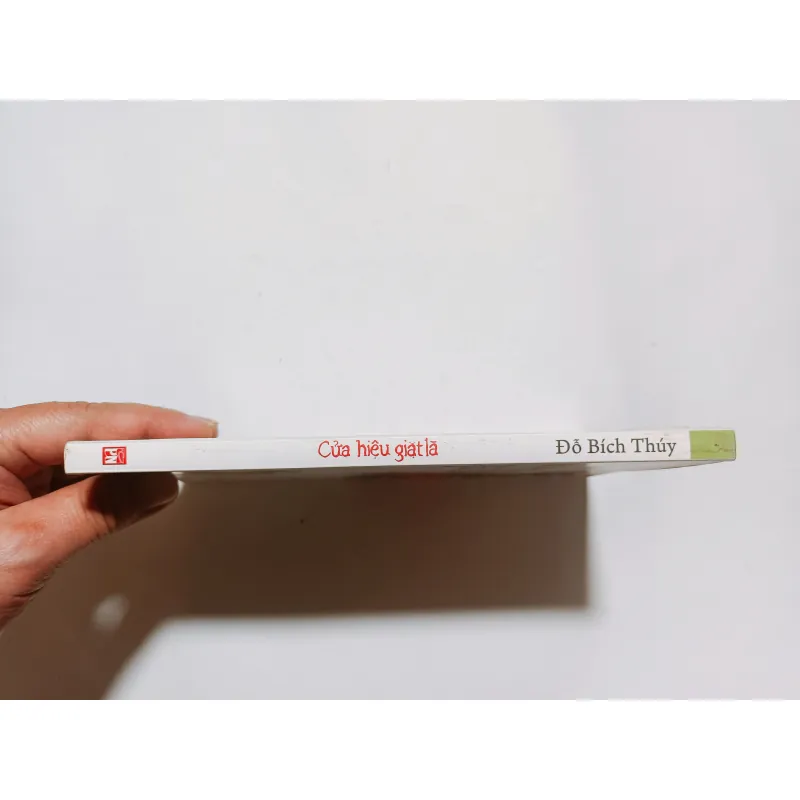 Cửa Hiệu Giặt Là - Đỗ Bích Thuý 801006