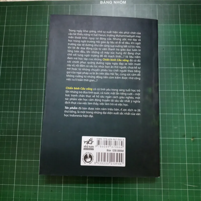 Chiến binh cầu vồng 574964