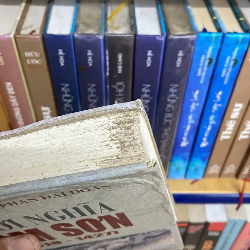 Khởi nghĩa Lam Sơn (1418-1427) 554757