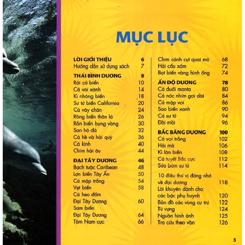 Cuốn Sách Lớn Đầu Tiên Của Tớ - Đại Dương (Bìa Cứng) - Catherine D. Hughes, National Geographic Kids 288977