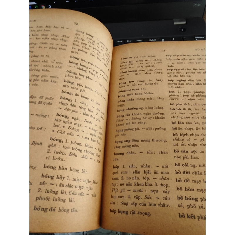 Từ điển Việt - Tày - Nùng - Hoàng Văn Ma và Lục Văn Pảo 1031908