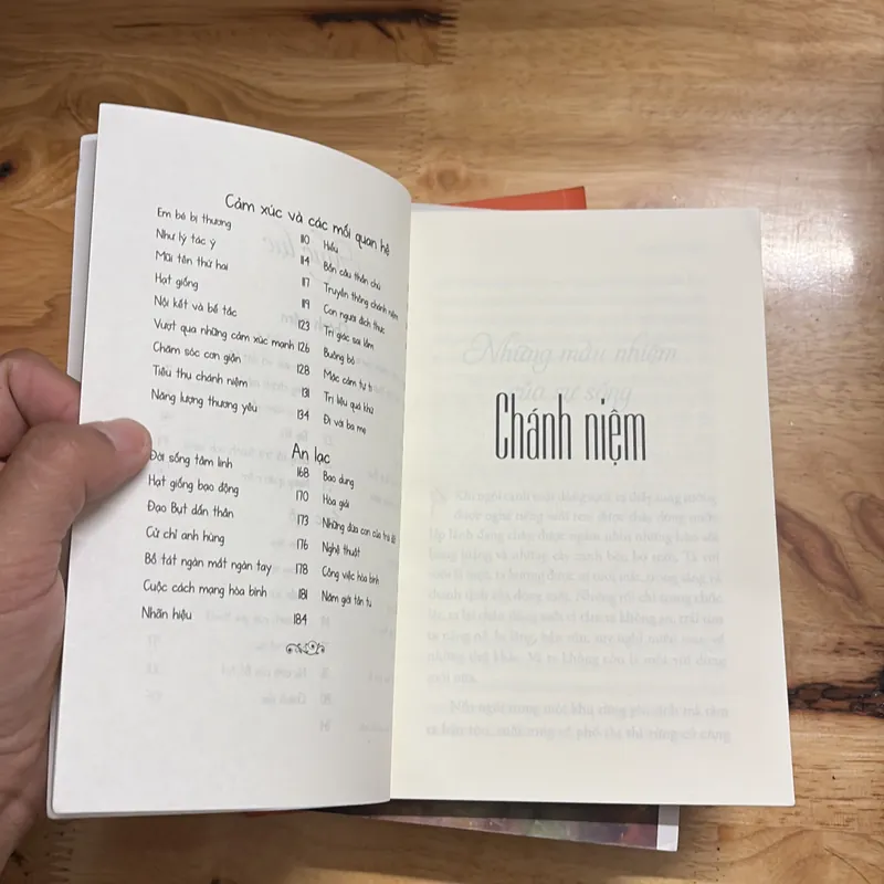 Sách Phật Giáo: Hạnh Phúc Cầm Tay - Thích Nhất Hạnh - Chân Hội Nghiêm (Chuyển Ngữ) - 2020 702684