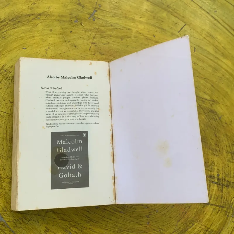 WHAT THE DOG SAW - MALCOLM GLADWELL 790299