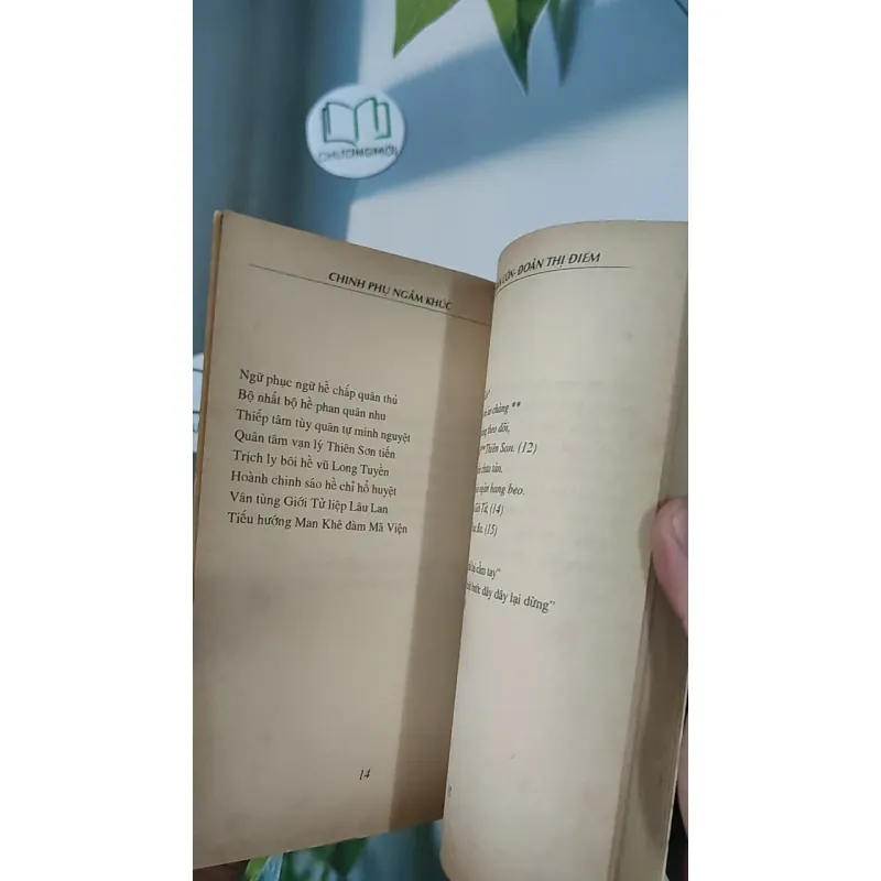 Chinh Phụ Ngâm Khúc - Tác Phẩm Văn Học Dành Cho Học Sinh Tham Khảo - Đặng Trần Côn - Đoàn Thị Điểm 798329