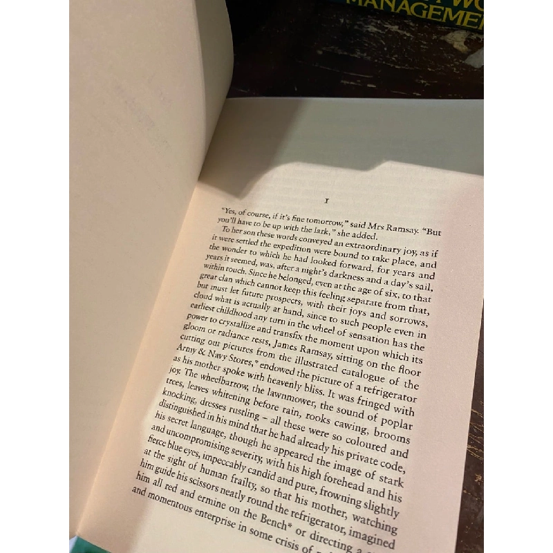 To the lighthouse - Virginia Woolf 1010115