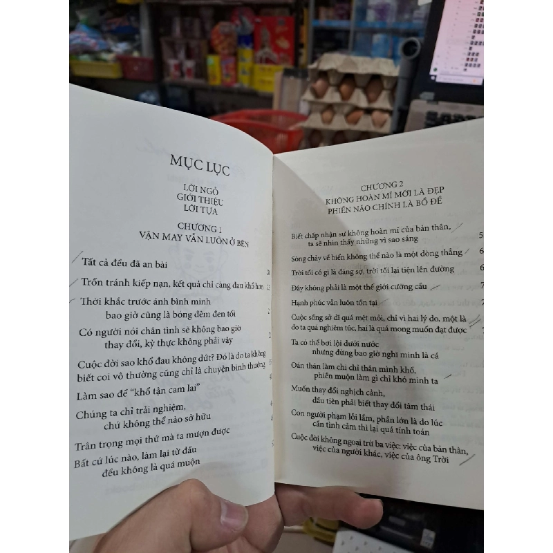 Nhẹ Tênh Giữa Chênh Vênh - Gyatro Pinpoche - 2019 mới 90% có viết chì ít - KỸ NĂNG - HCM3012 749691