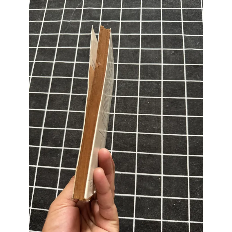 Dạ khúc chim 592313