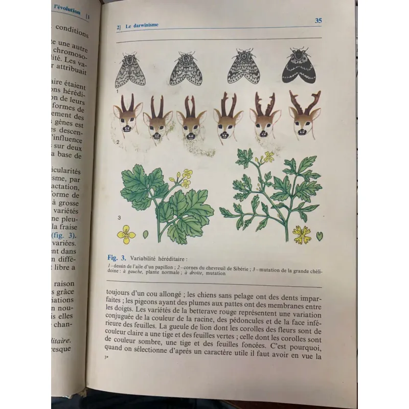 BIOLOGIE GENERALE - G. POLIANSKY (CHỦ BIÊN) 717777