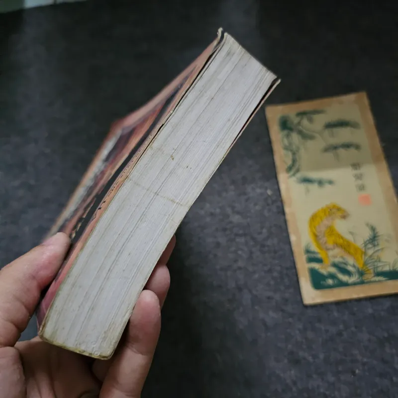 Bồ câu cô đơn 733059