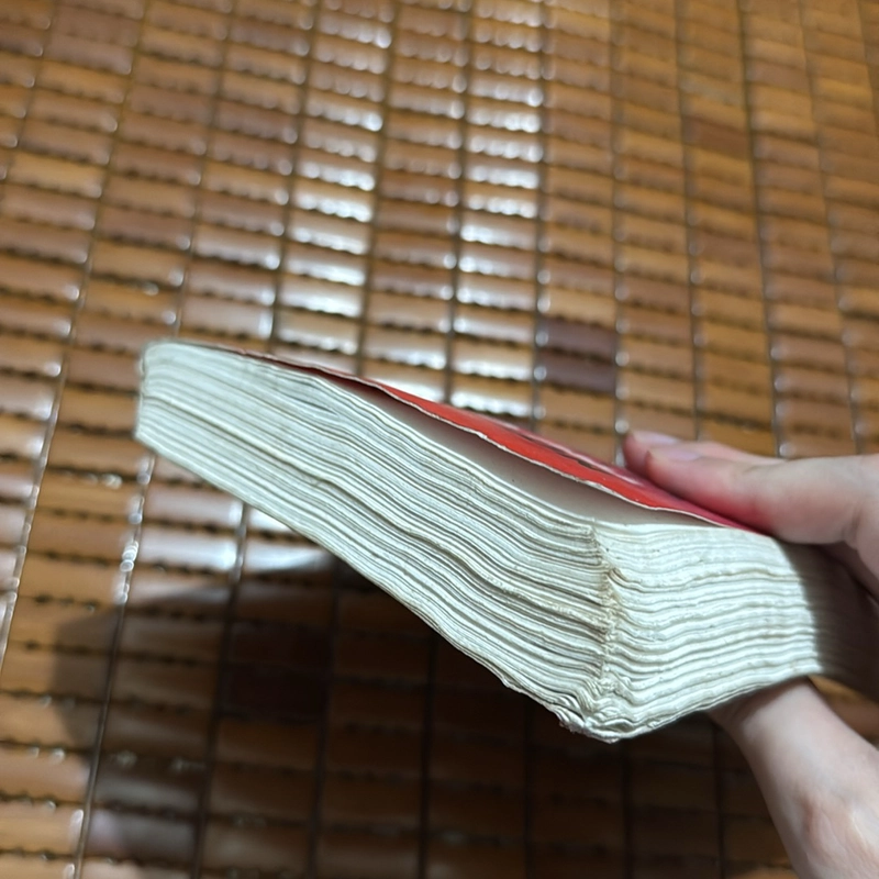 Nơi trú chân của tuổi thanh xuân  527324