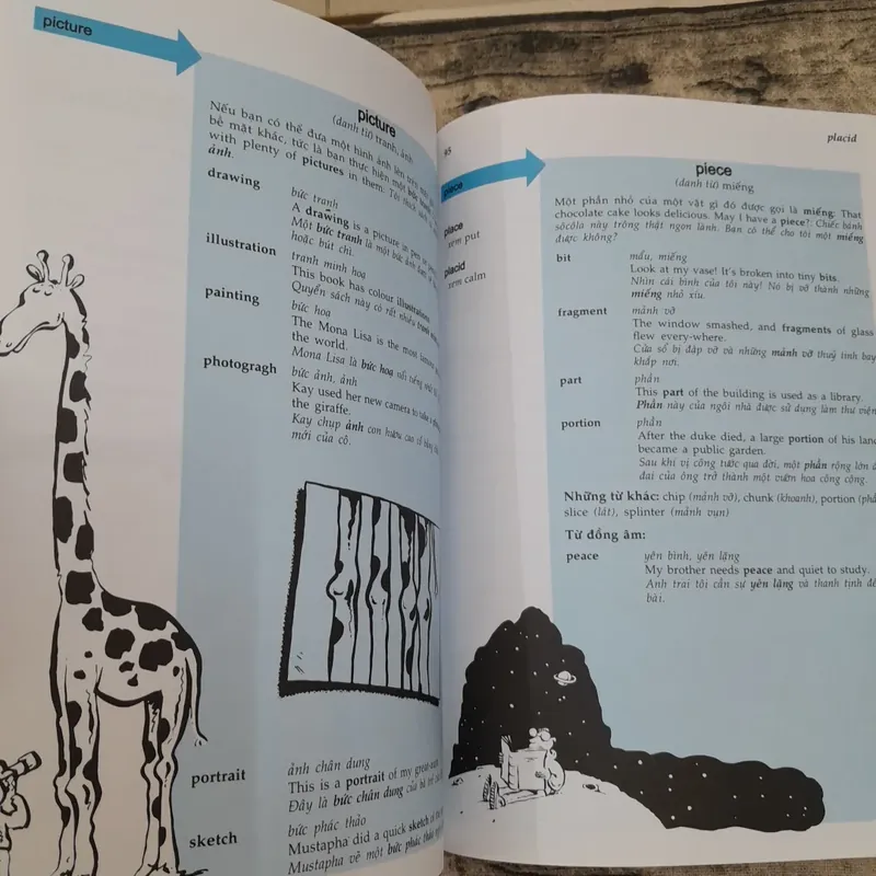 Từ điển Đồng nghĩa tiếng Anh. Tranh ảnh cho trẻ em. Biên dịch Nguyễn T. Kim Ngân 706197