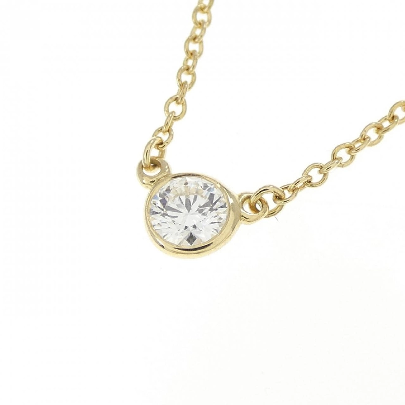 Dây chuyền Tiffany By The Yard - Hàng hiệu Authentic 839965