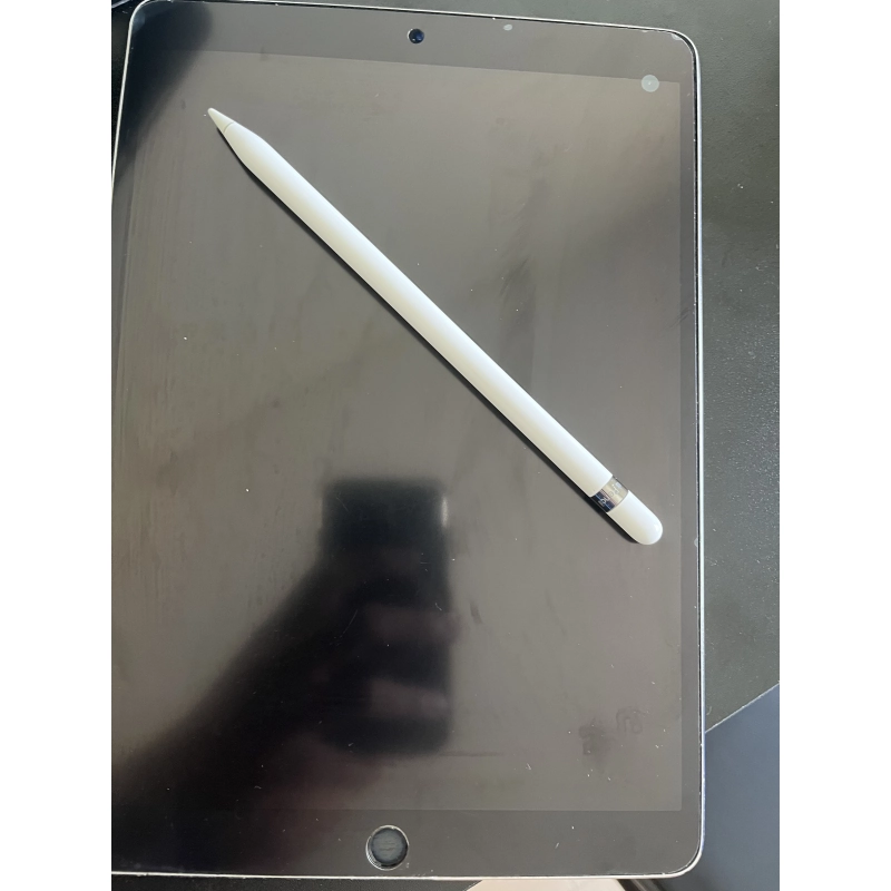 Ipad pro 10.5 bản 2017 502188