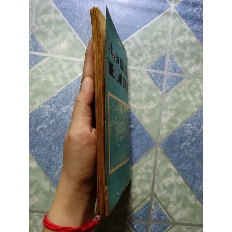 Tự luyện Bát Đoạn Cẩm thiếu lâm - GS. Hàng Thanh 998562